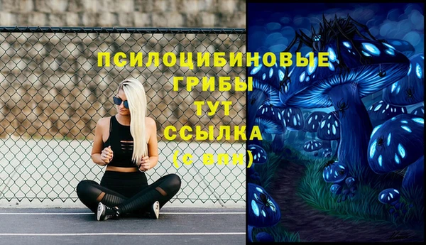 герыч Новозыбков