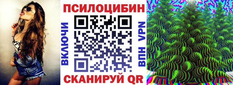 blacksprut вход  купить закладку  Бакал  Галлюциногенные грибы GOLDEN TEACHER 