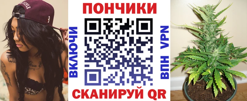 Марихуана марихуана  Бакал 